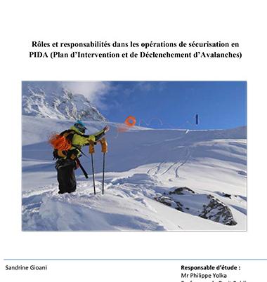 Rôles et responsabilités en PIDA